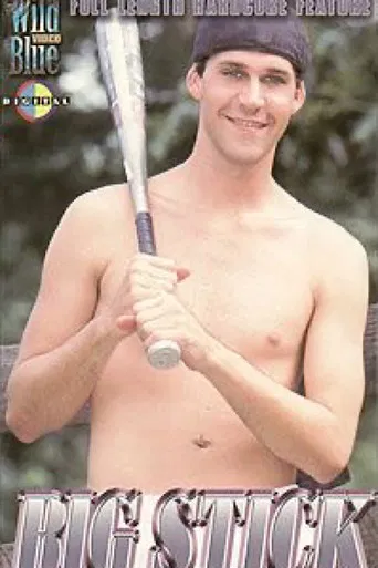 Big Stick poster