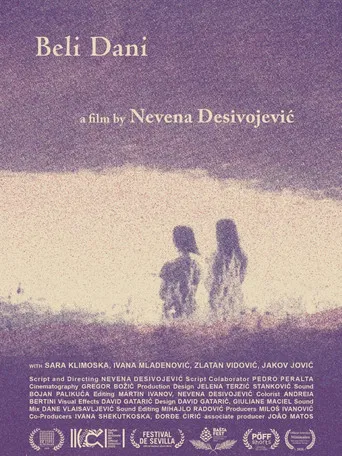 Bright Summer Days poster