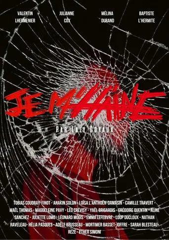Je m'Haine poster