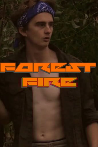 Forest Fire poster