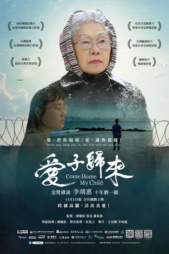Come Home, My Child poster