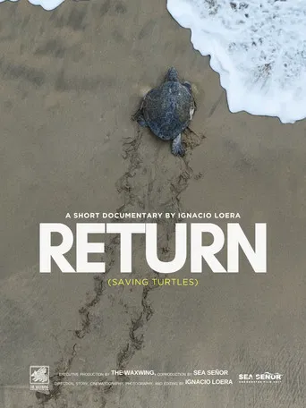 Return: Saving Turtles poster