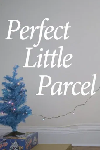 Perfect Little Parcel poster