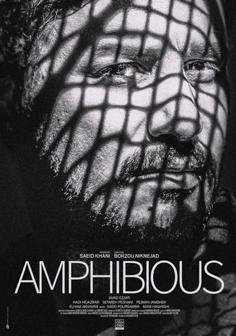 Amphibious poster