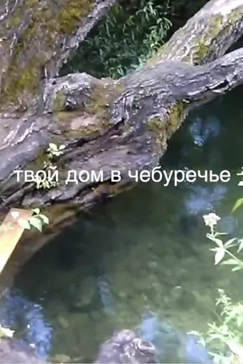 your house in the Cheburechie poster