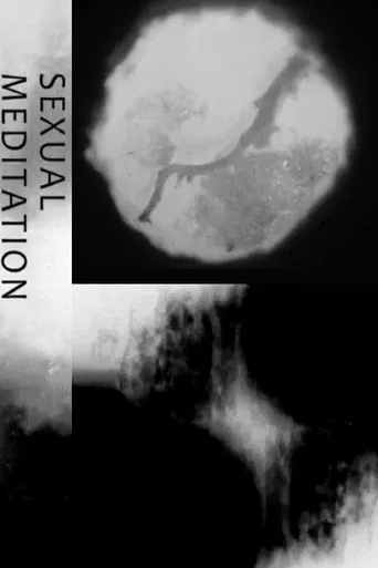 Sexual Meditation poster