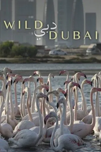 Wild Dubai poster
