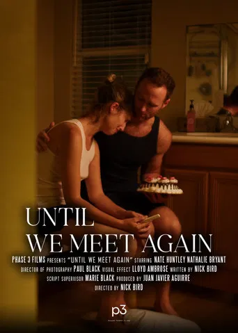 Until We Meet Again poster