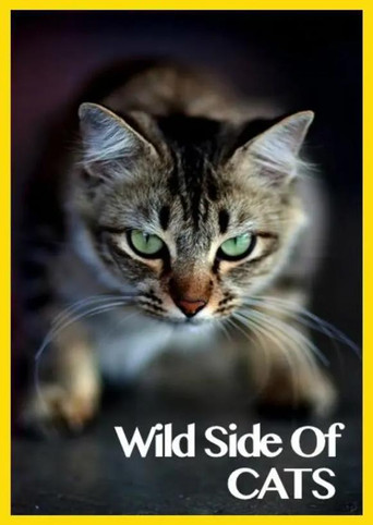 Wild Side of Cats poster