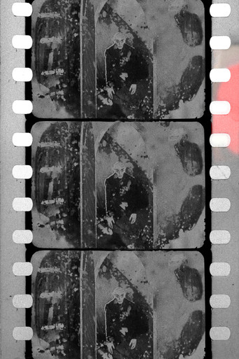 Speedball Nosferatu poster