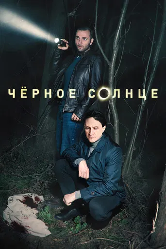 Чёрное солнце poster