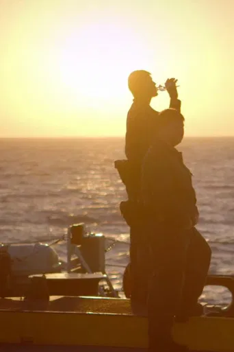 Forces tranquilles poster