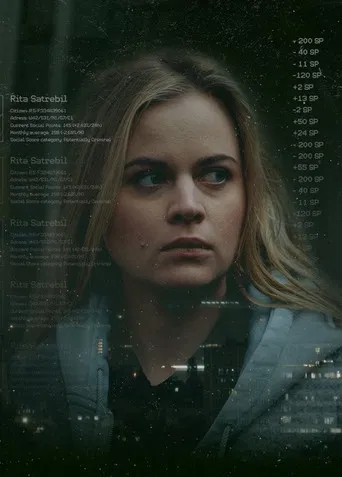 Social Score System poster