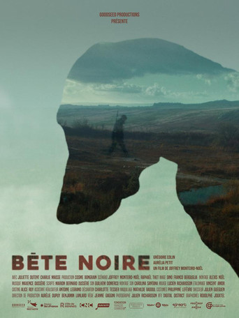 Bête Noire poster