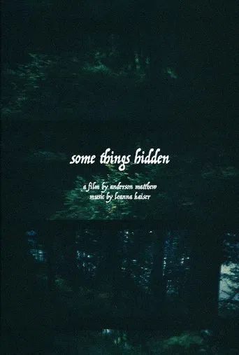 Some Things Hidden poster