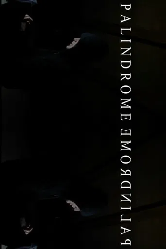 PalindromeemordnilaP poster