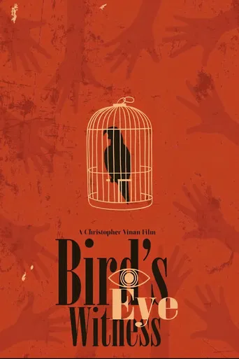 Bird's Eye Witness poster