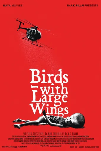 Valiya Chirakulla Pakshikal poster