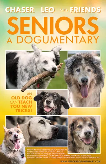 Seniors: A Dogumentary poster