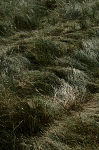 reliéf Relief poster