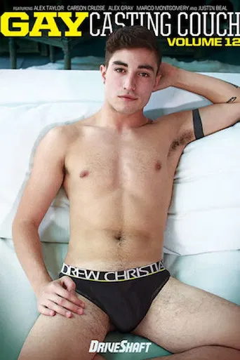 Gay Casting Couch 12 poster