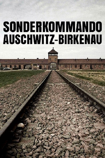Sonderkommando Auschwitz-Birkenau poster
