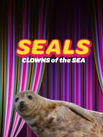 Seals - Clowns of the Sea poster