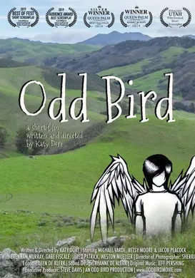 Odd Bird poster