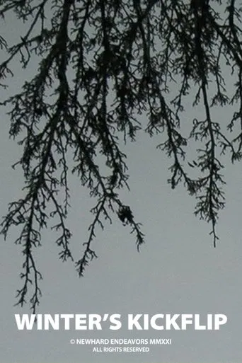 Winter's Kickflip poster