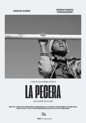 La Pecera poster