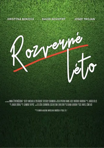 Rozverné léto poster