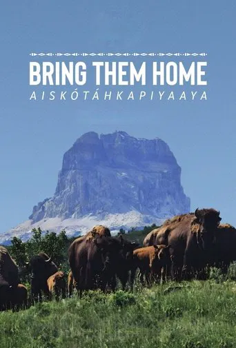 Bring Them Home poster