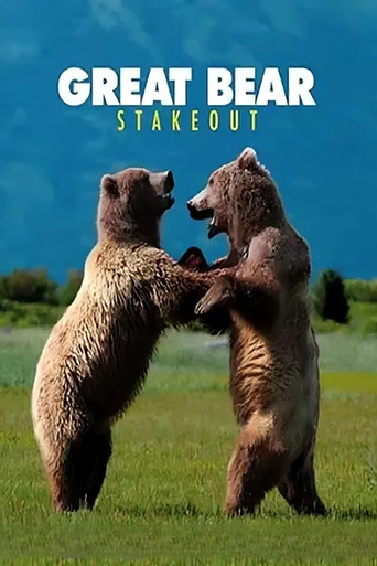 Great Bear Stakeout poster