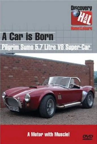 A Car is Born poster