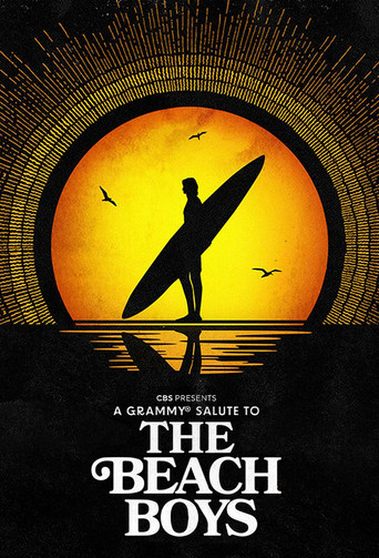 A Grammy Salute to The Beach Boys poster