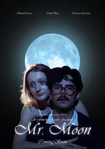 Mr. Moon poster