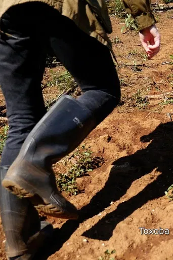 A Few Common Phrases poster