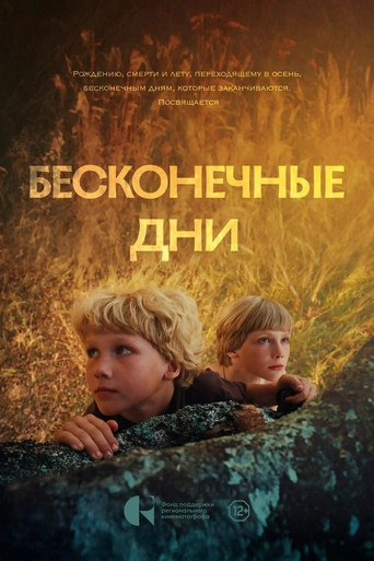 Бесконечные дни poster