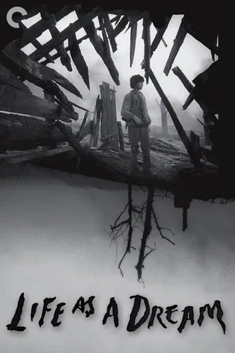 Life as a Dream poster