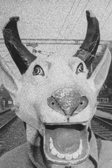 The Kali of Emergency poster