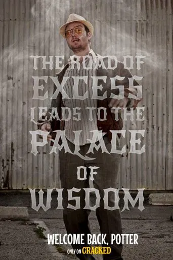 Welcome Back, Potter poster