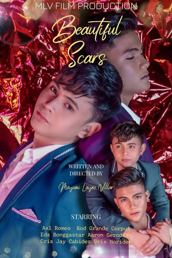 Beautiful Scars poster