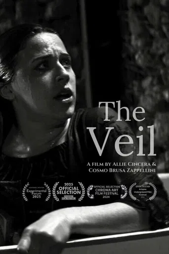 The Veil poster