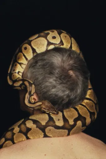 The Seismic Form poster