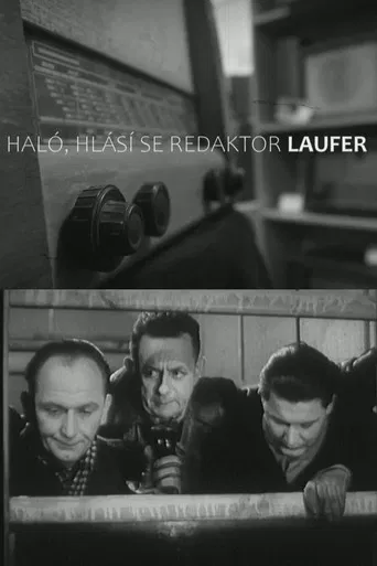 Haló, hlásí se redaktor Laufer! poster