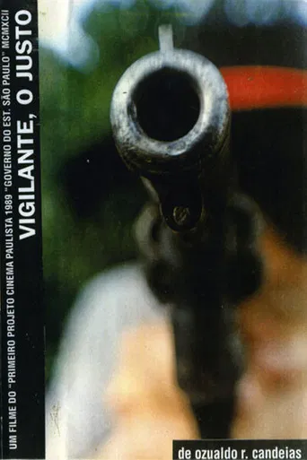 O Vigilante poster