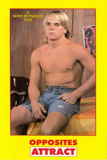 Opposites Attract poster