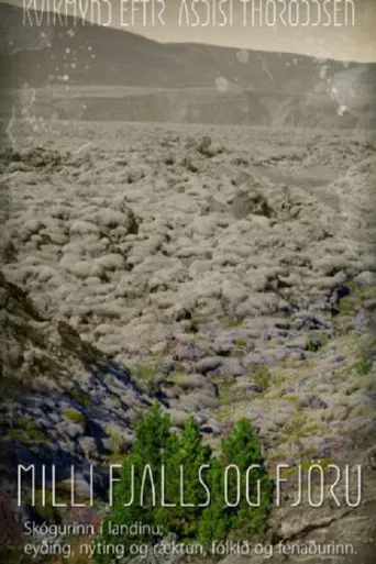 Woods Grew Here Once poster