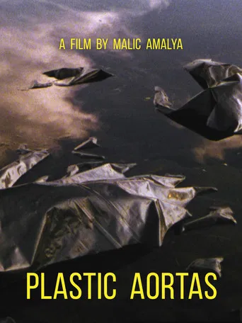 Plastic Aortas poster