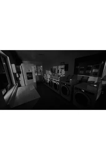 Midnight Laundromat poster